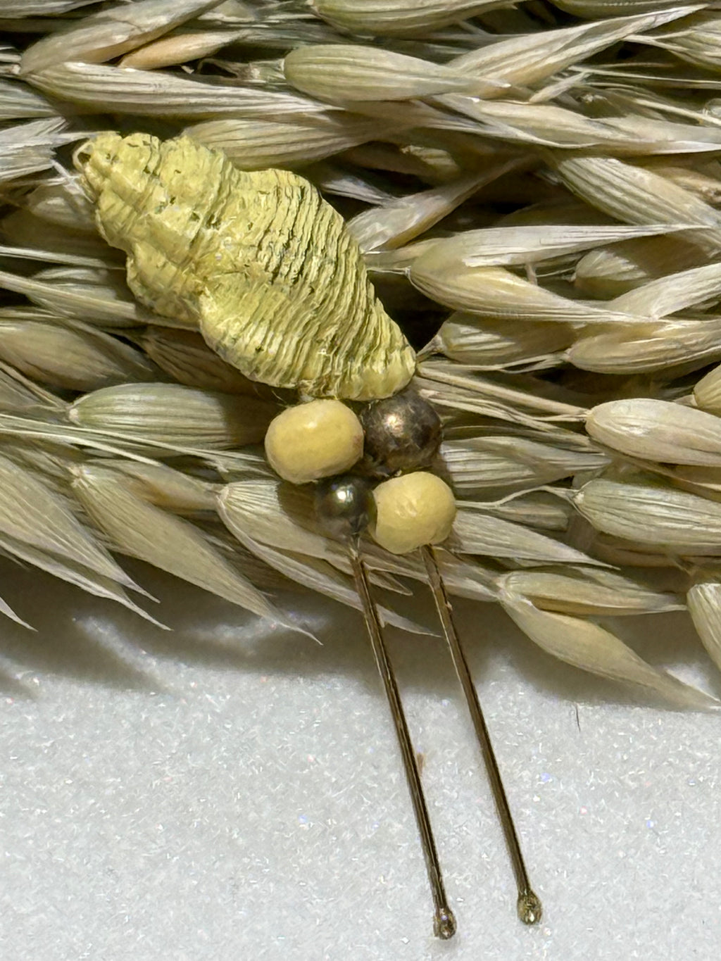 Horquilla Caracolas de Jade