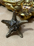 Anillo Sal en las Venas