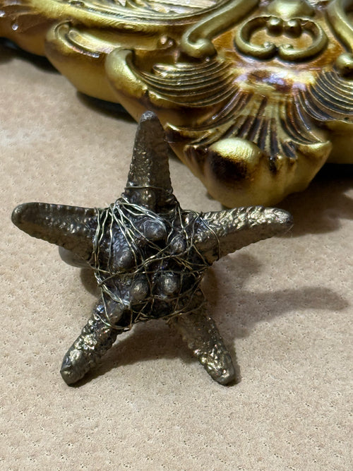 Anillo Sal en las Venas