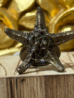 Anillo Sal en las Venas