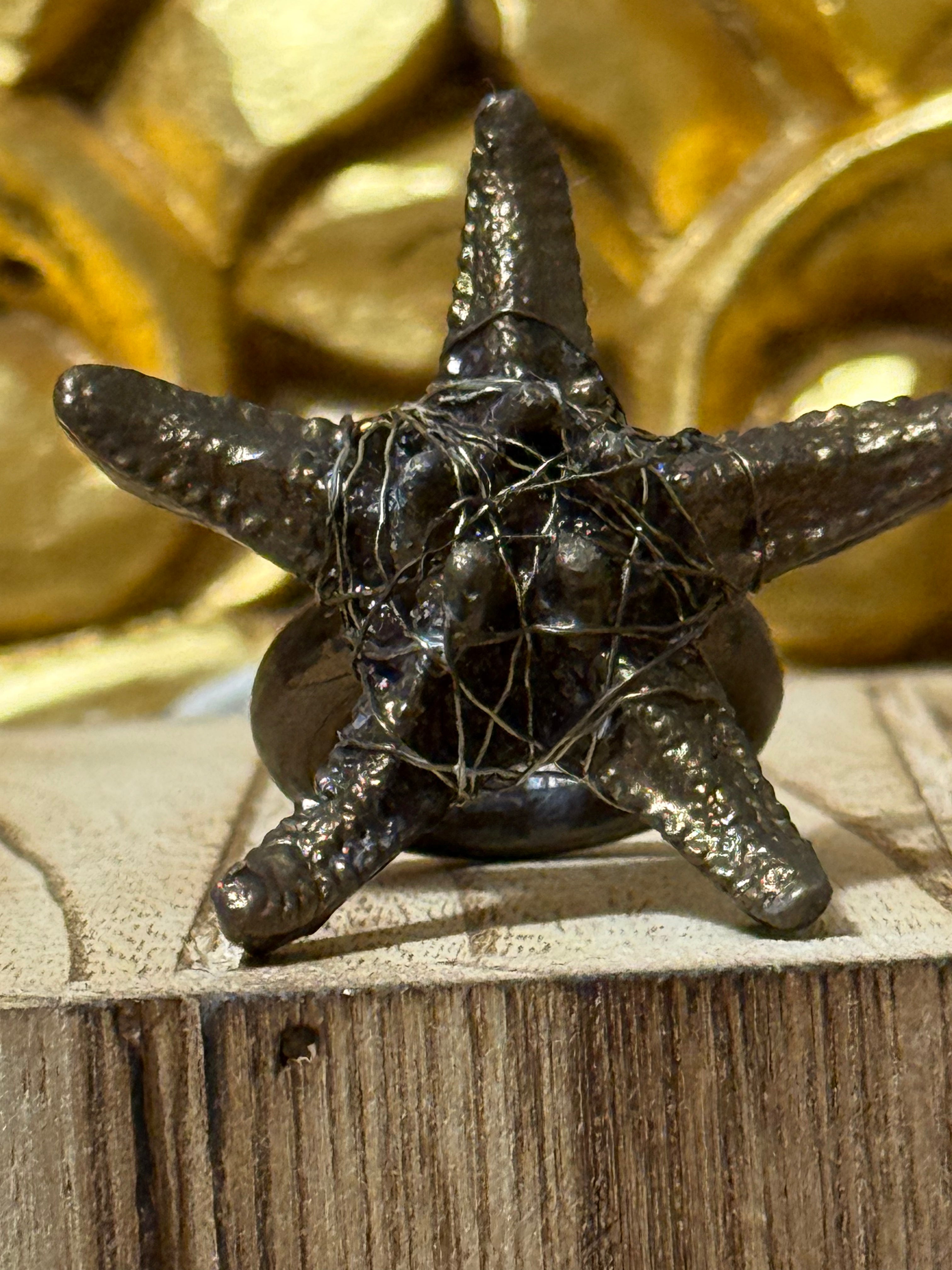 Anillo Sal en las Venas